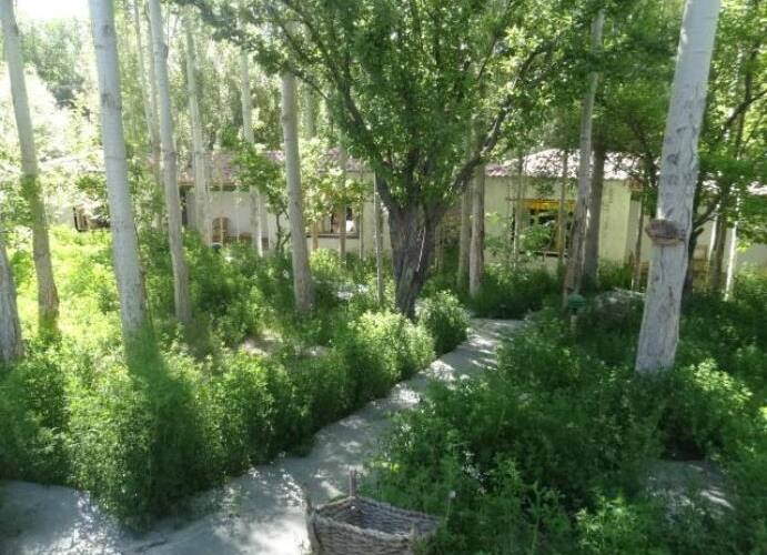 Eco Poplar Resort, Leh 5